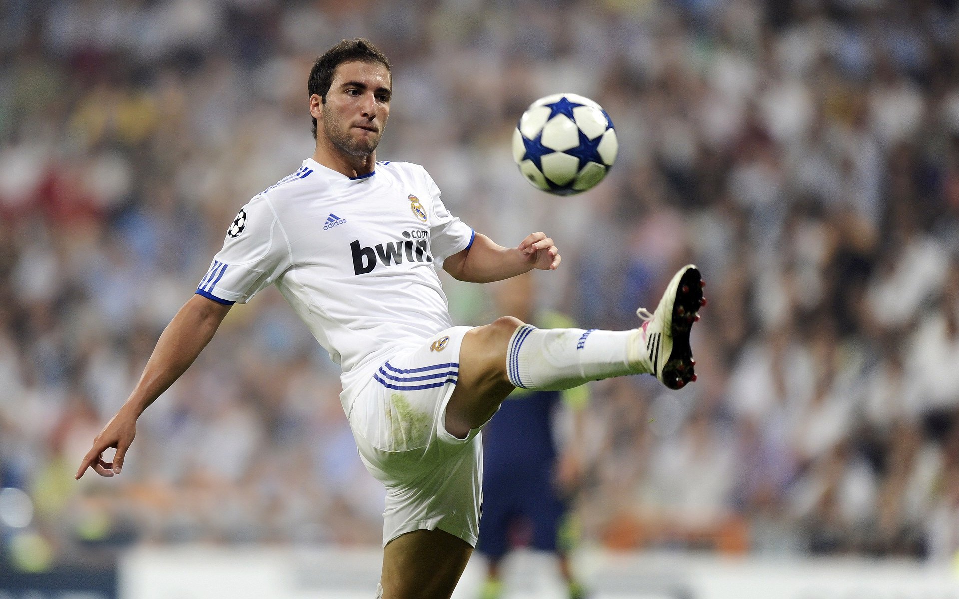 欧宝-浓眉哥连续十五场比赛得分超过败北，加拿大队挑战极限！